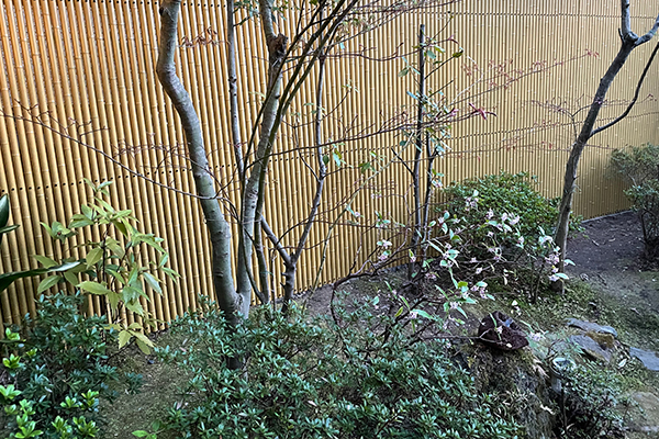日本庭園風のお庭（三田市 相野）