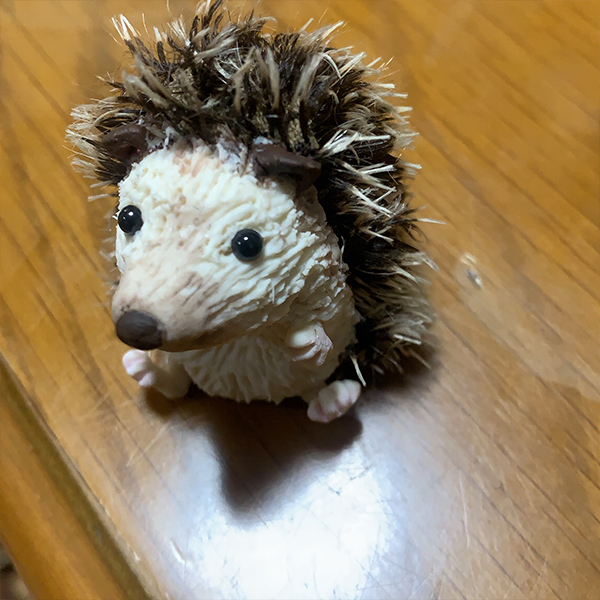 ハリネズミ