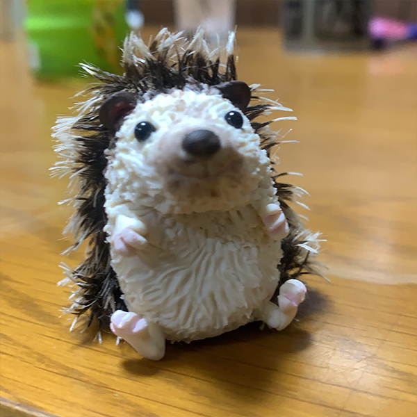 ハリネズミ