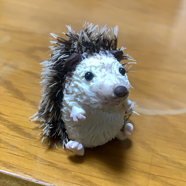 ハリネズミ
